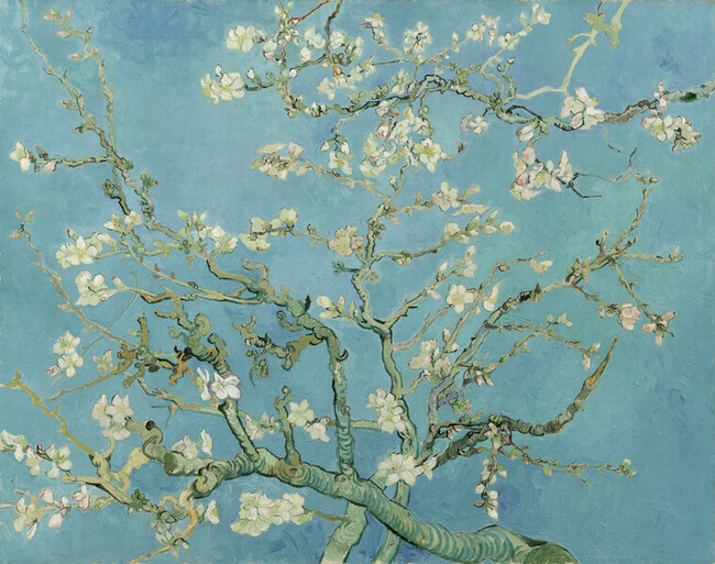 Branche d'amandier en fleur - Vincent Van Gogh