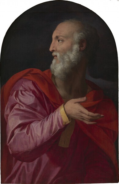 Saint Côme Agnolo di Cosimo, dit Bronzino (Florence, 1503  1572) Vers 1543-1545 Huile sur panneau 73,5 x 51,3 cm Collection Alana, Newark, DE, États-Unis