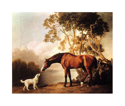 Cheval bai et chien blanc - George Stubbs