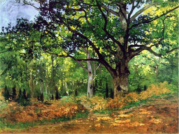 le ch&ecirc;ne Bodmer ,for&ecirc;t de Fontainbleau Monet