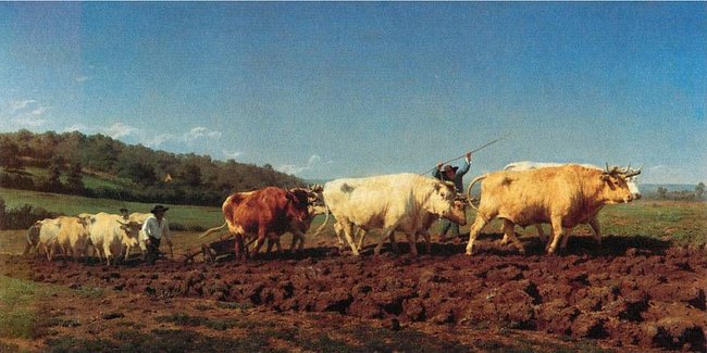 Labourage nivernais - Rosa Bonheur