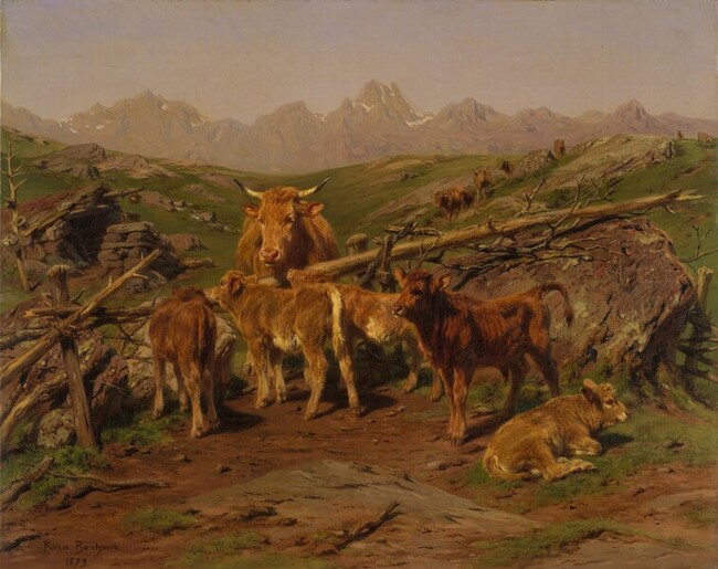 Veaux - Rosa Bonheur