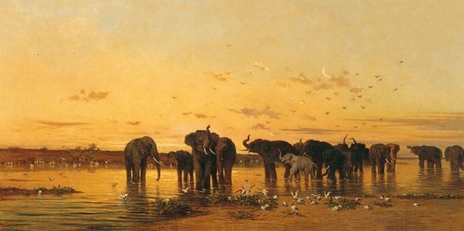 Elephants d'Afrique -Charles Emile de Tournemine