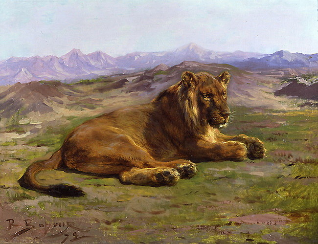 Lion Couché -Rosa Bonheur