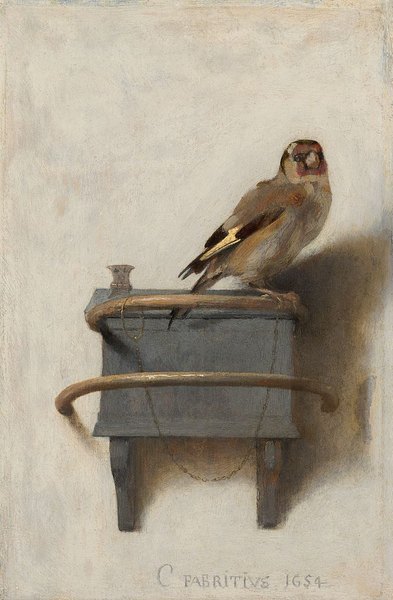 Le chardonneret - Carel Fabritius