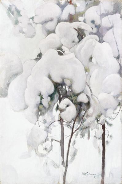 Les Pins couverts de neige